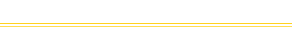Skies